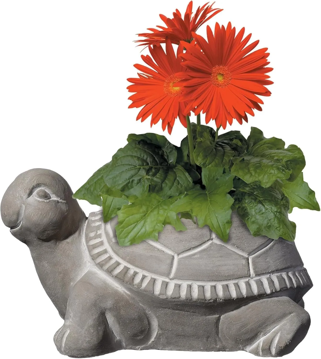 Classic Home and Garden Cement Buddies Indoor Outdoor Planter with Drainage Hole, Turtle, Natural Gray, Small, 6in