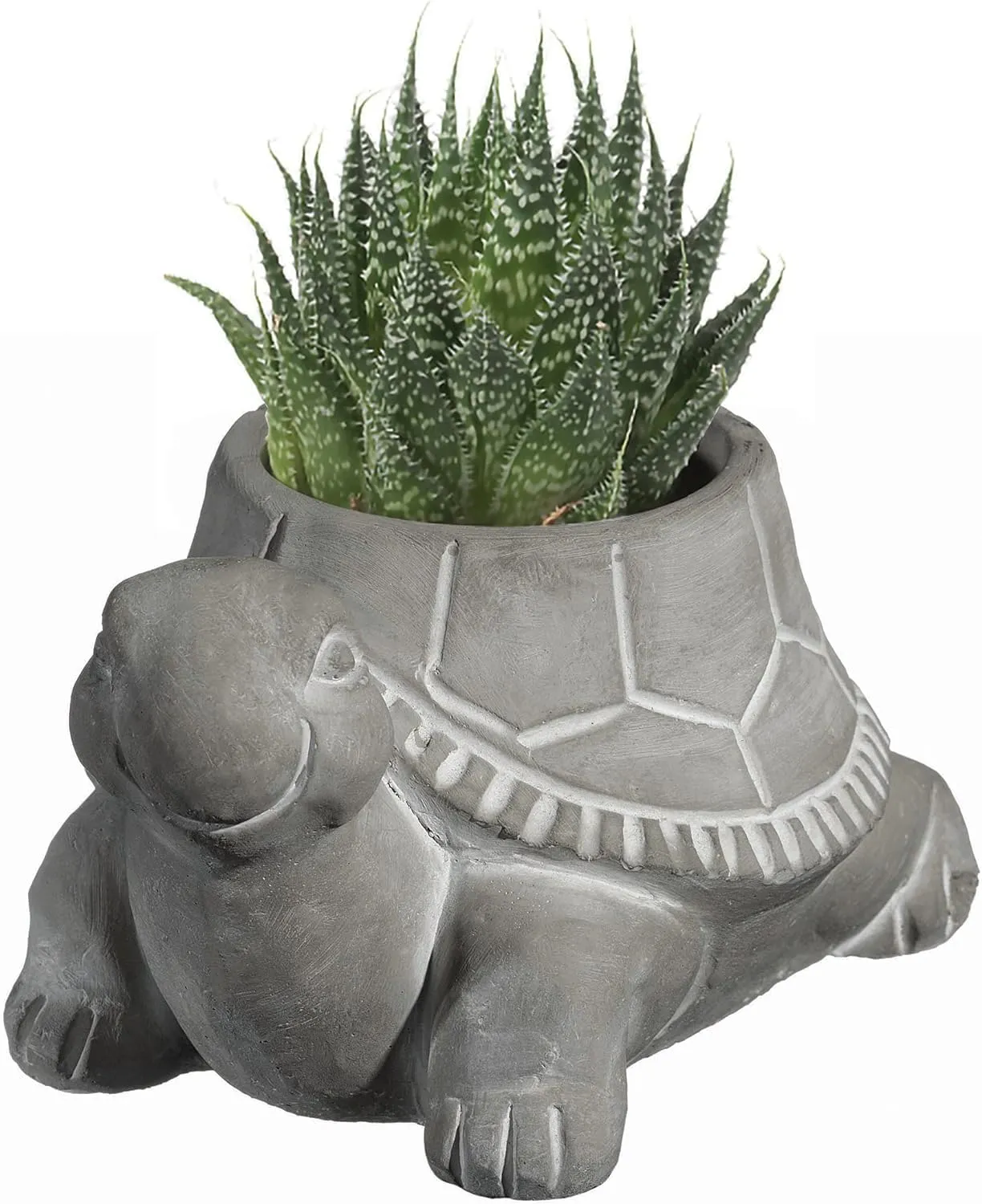 Classic Home and Garden Cement Buddies Indoor Outdoor Planter with Drainage Hole, Turtle, Natural Gray, Small, 6in