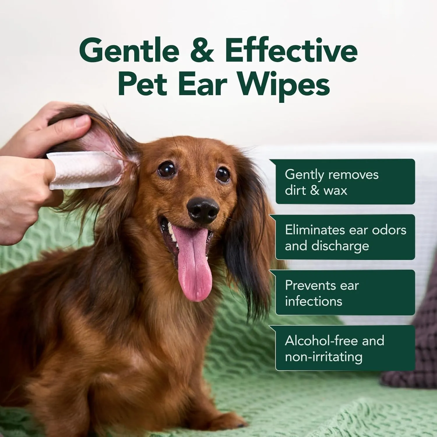 Dog Ear Cleaner Wipes - Dog Ear Infection Treatment Fast Relief from Ear Itching and Inflammation, Cat Ear Wipes Gently Remove Ear Wax Debris and Smelly (50 Pcs, Unscented)
