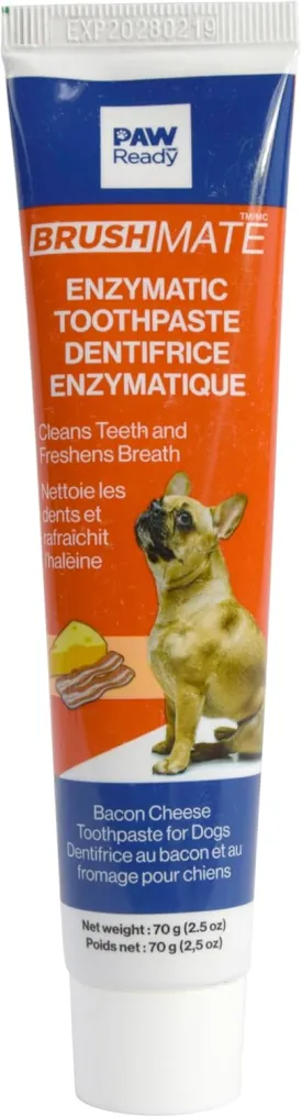 From Doggy Breath to Doggy Fresh Dog Dental Care Enzymatic Toothpaste for Dogs | Cleans Teeth and Freshens Breath | Safe for Puppies, Clinical Care, Bacon Cheese Flavor - 1 Pack 70g (2.5 oz)