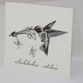 Hummingbird Earrings in Sterling Silver